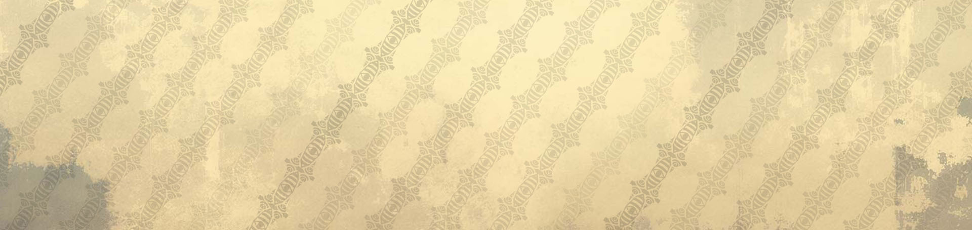 Portfolio Details Image
